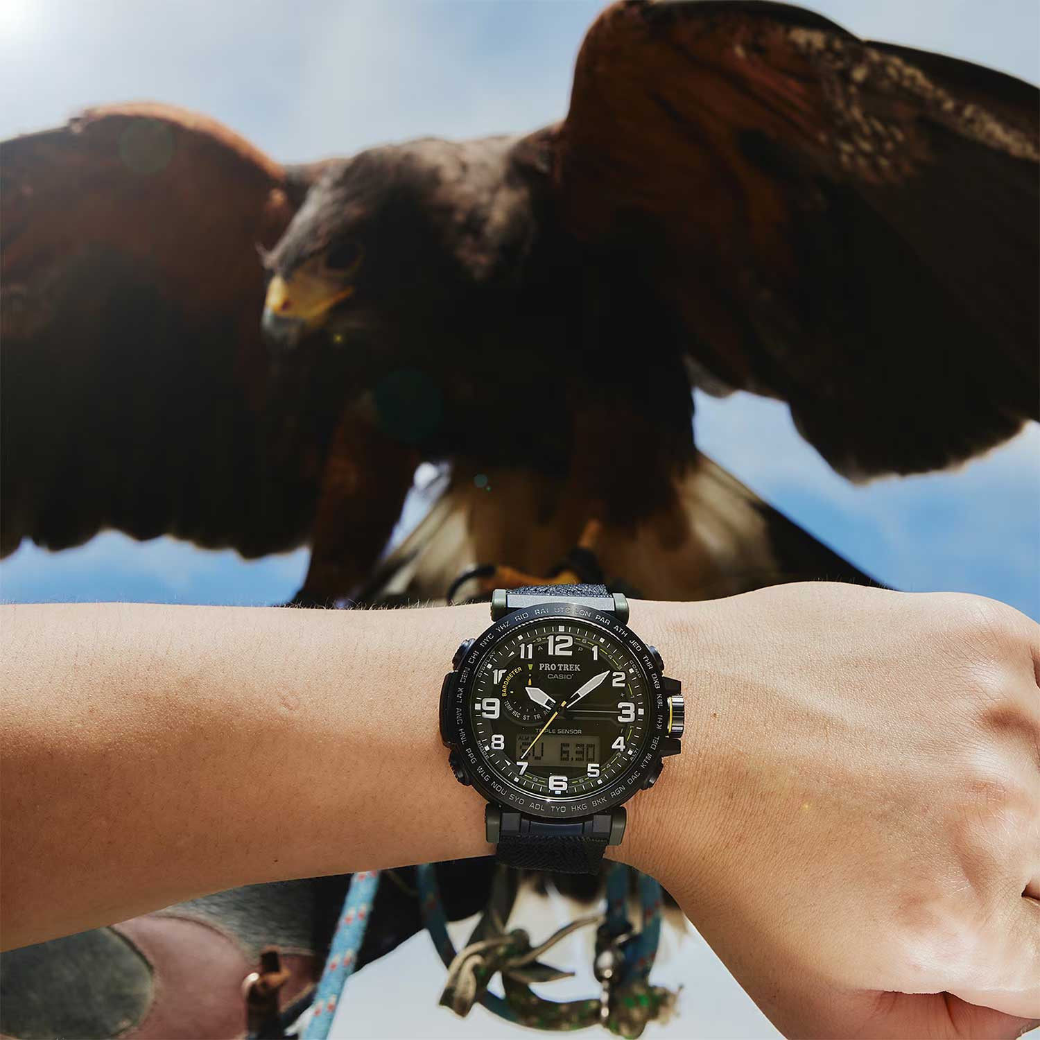 Наручные часы Casio Pro Trek PRG-601YB-3