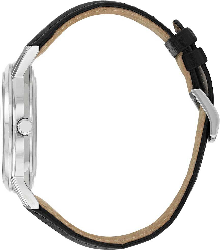 Наручные часы Citizen AO9000-06B