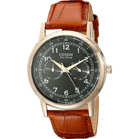 Наручные часы Citizen AO9003-08E