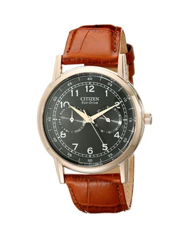 Наручные часы Citizen AO9003-08E, изображение 1