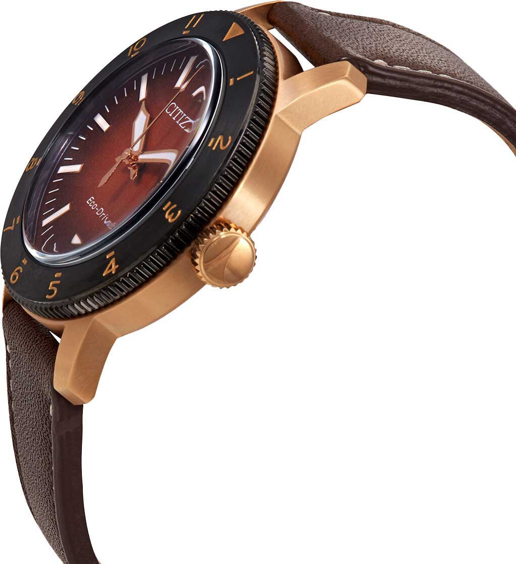 Наручные часы Citizen AW0079-13X