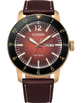 Наручные часы Citizen AW0079-13X, изображение 1