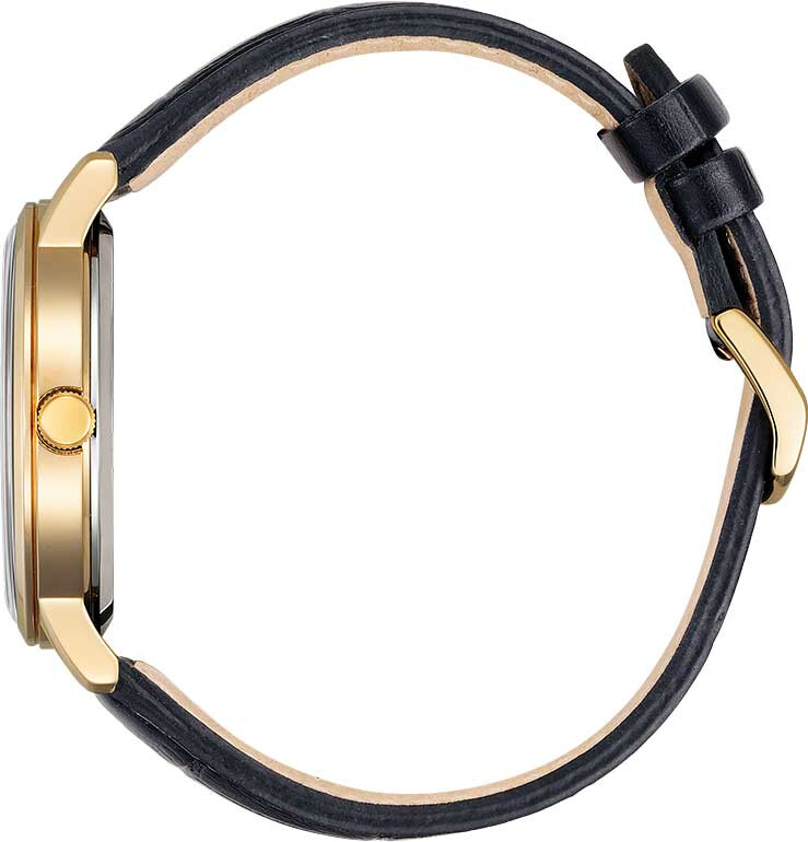 Наручные часы Citizen BM7462-15E