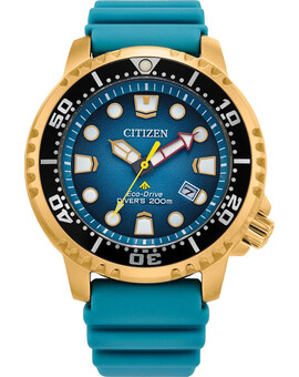 Наручные часы Citizen BN0162-02X, изображение 1