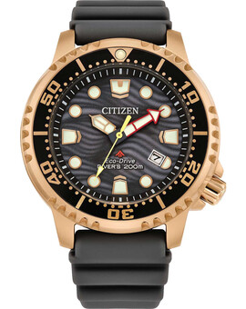 Наручные часы Citizen BN0163-00H, изображение 1