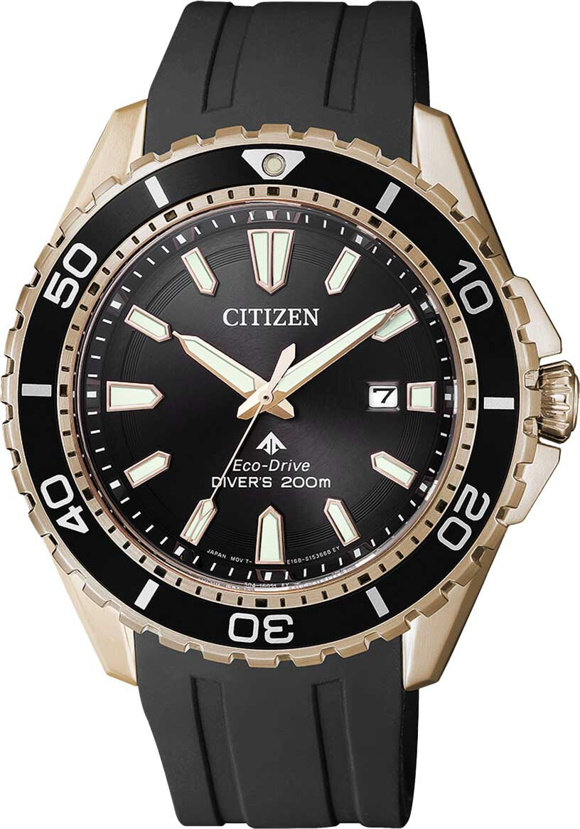 Наручные часы Citizen BN0193-17E