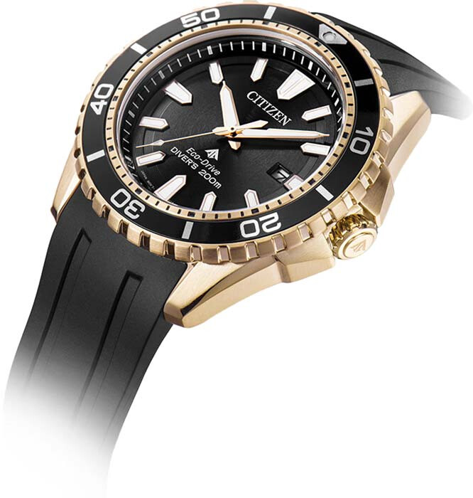 Наручные часы Citizen BN0193-17E