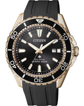 Наручные часы Citizen BN0193-17E, изображение 1