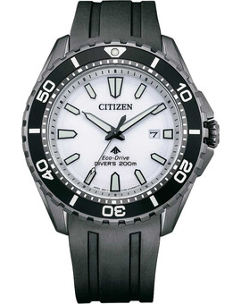 Наручные часы Citizen BN0197-08A, изображение 1