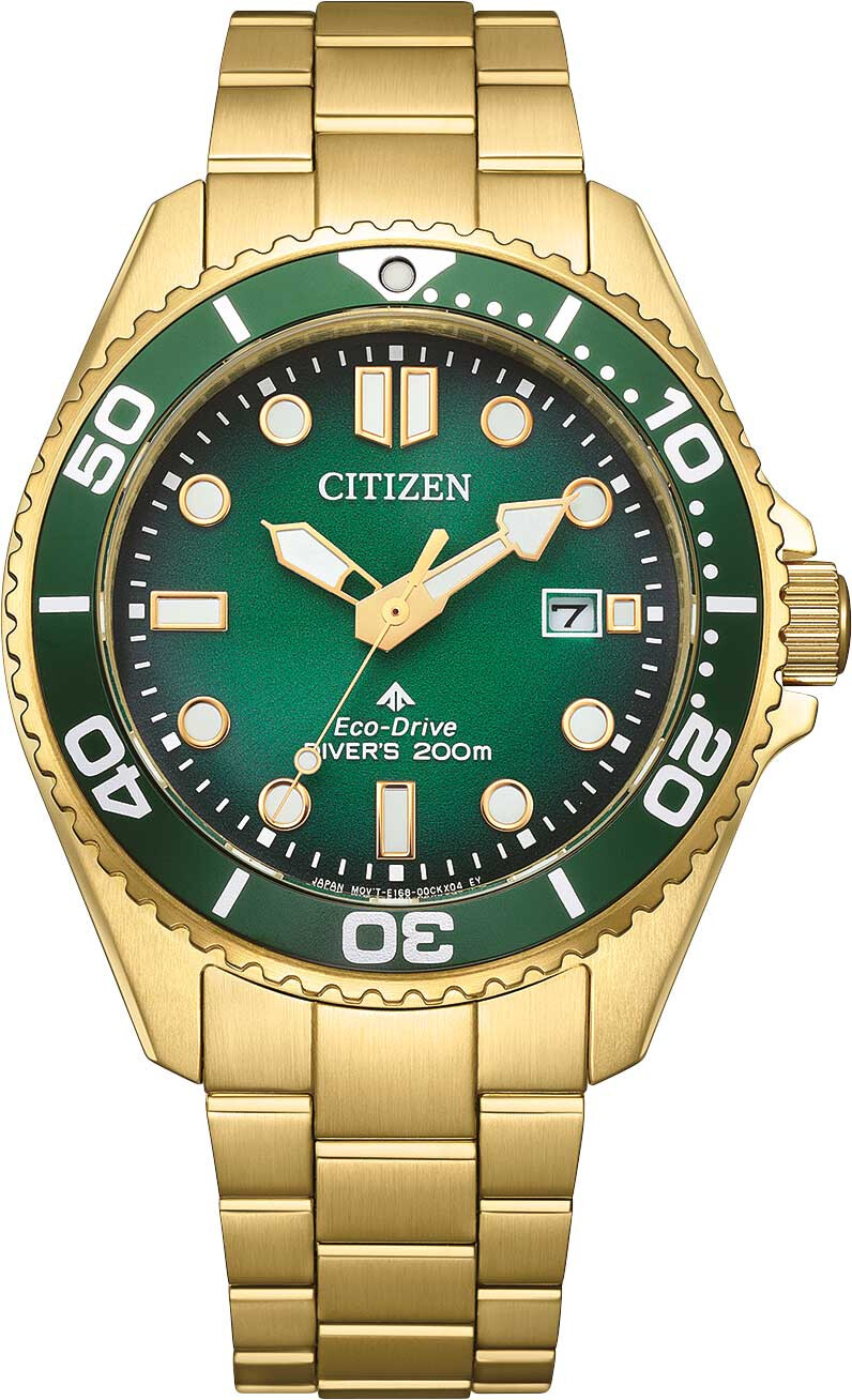 Наручные часы Citizen BN0262-59W