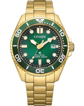 Наручные часы Citizen BN0262-59W, изображение 1