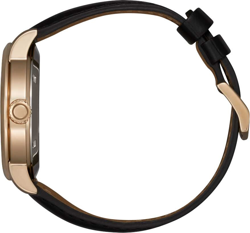 Наручные часы Citizen NJ0133-12E