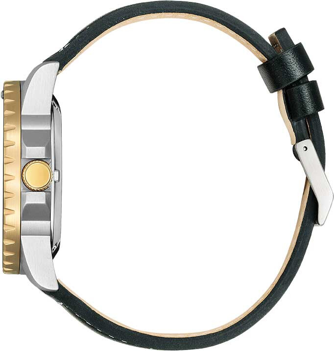 Наручные часы Citizen NJ0176-10E
