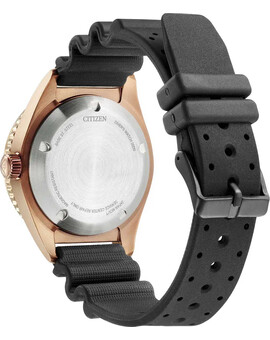 Наручные часы Citizen NY0125-08W, изображение 3